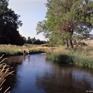 WhitesRanchFishing5