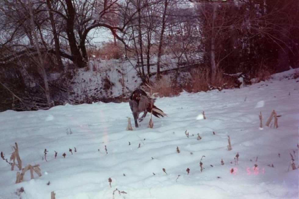 WhitesRanchHunting13