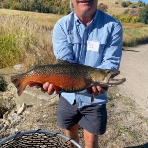 fly-fishing-utah